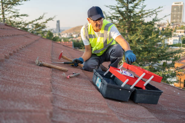 Best Fiber Cement Siding Installation  in South Monrovia Island, CA